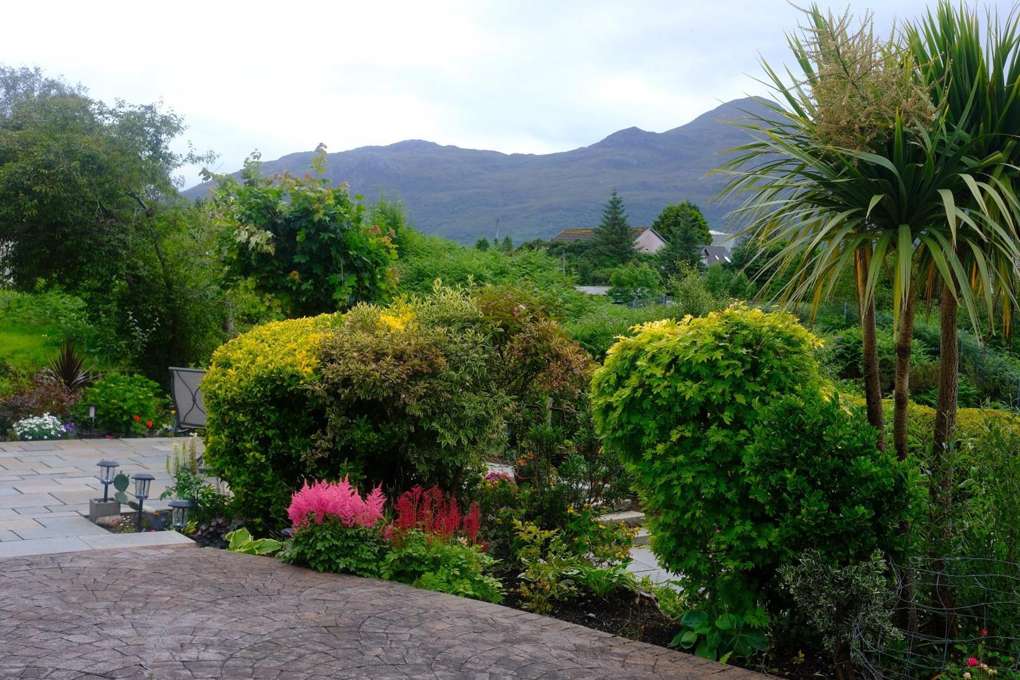 Bed & Breakfast Ardenlea *